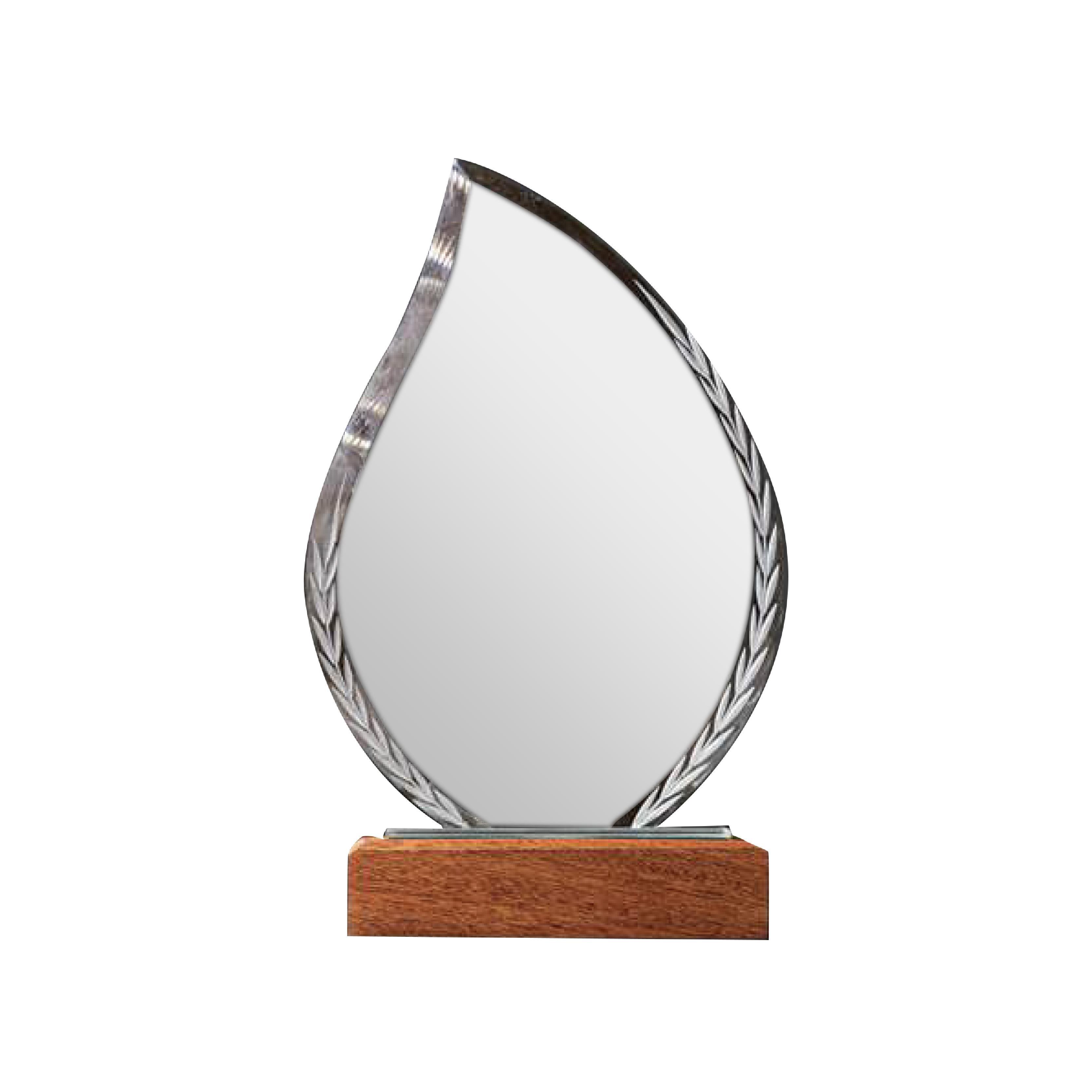 23 x 14 Crystal Trophy With Wooden Base Size with Logo